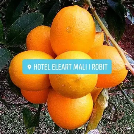Eleart 公寓式酒店 格勒姆